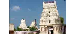 252. திருப்பாசூர்